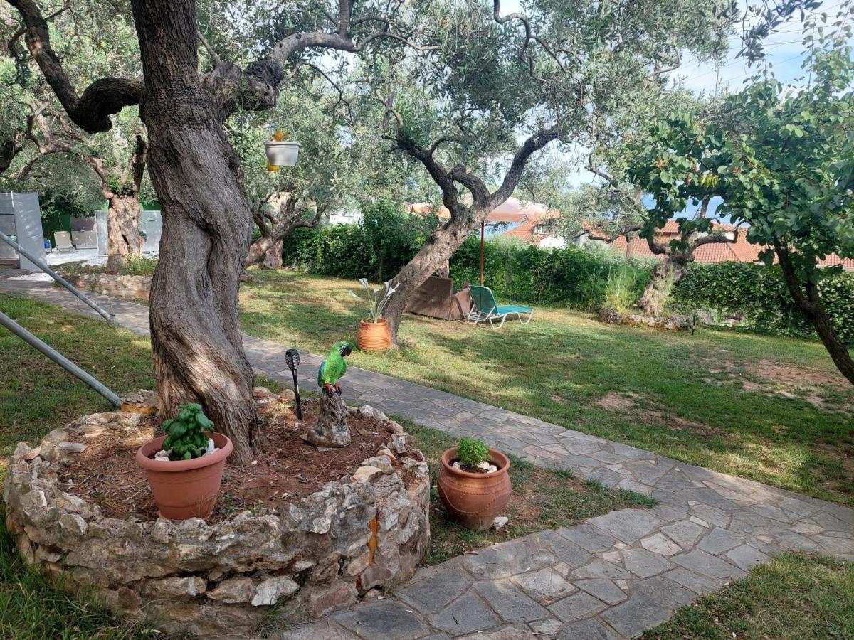 Nature Lovers-Golden Beach Khrysi Ammoudia Eksteriør bilde